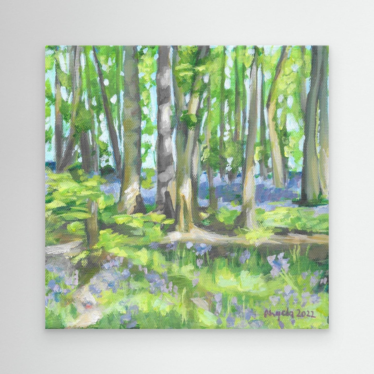 Bluebell woods at Hints