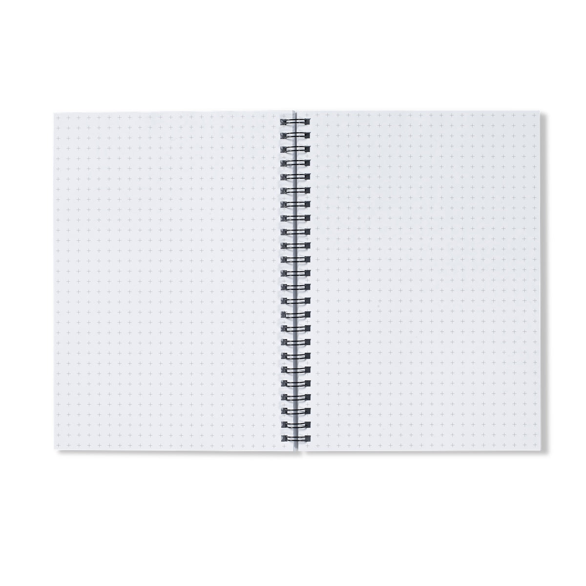 Bluebell woods at Hints Notebook