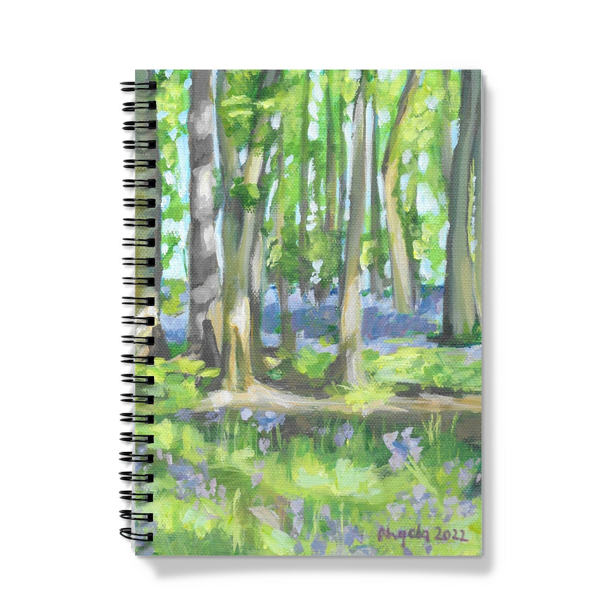 Bluebell woods at Hints Notebook
