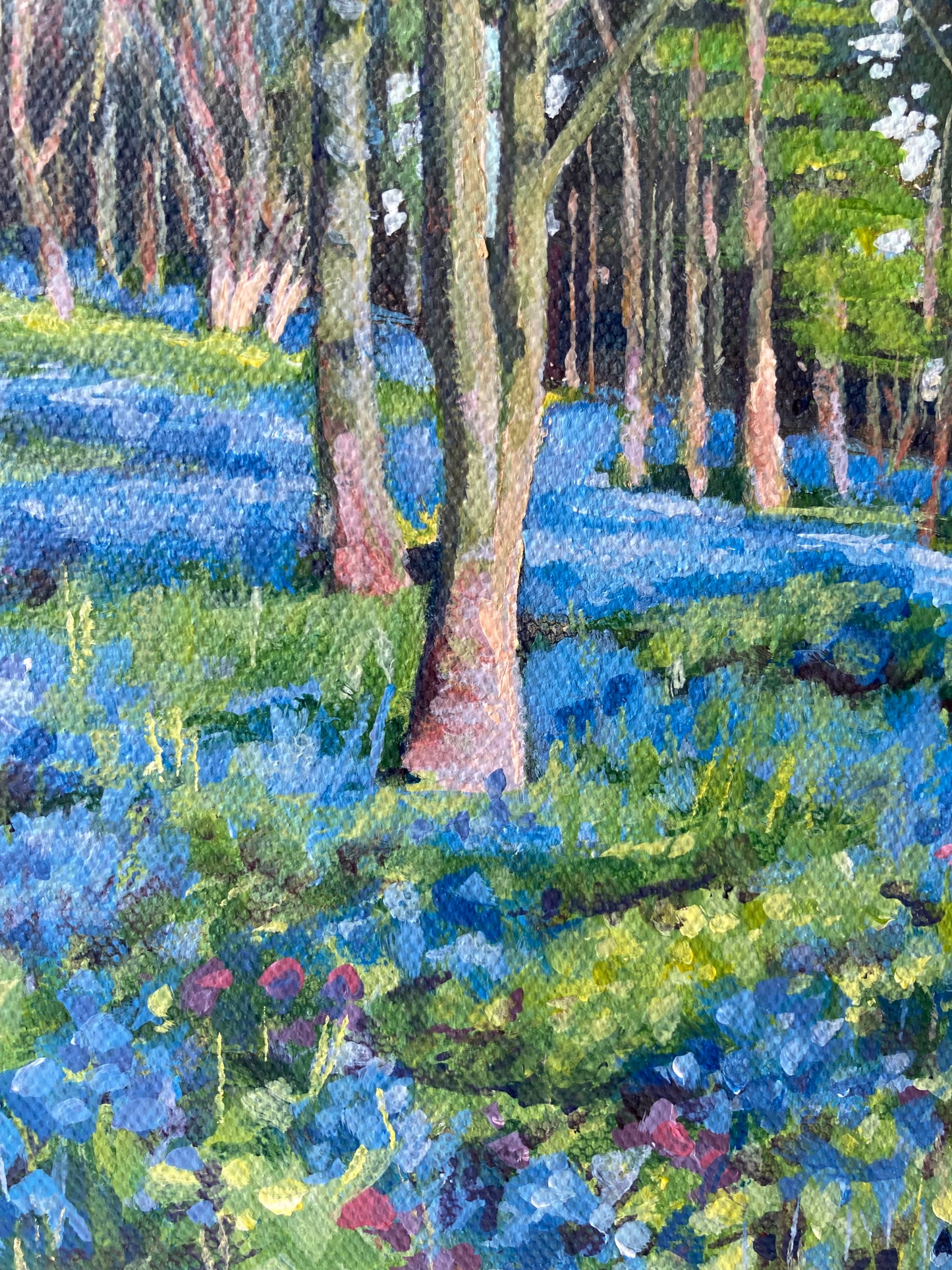 Bluebell Light