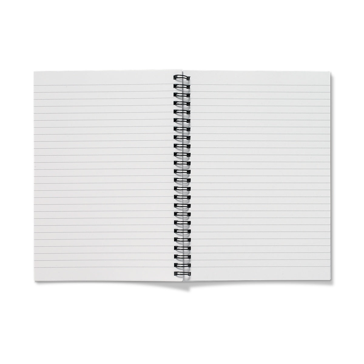Bluebell woods at Hints Notebook