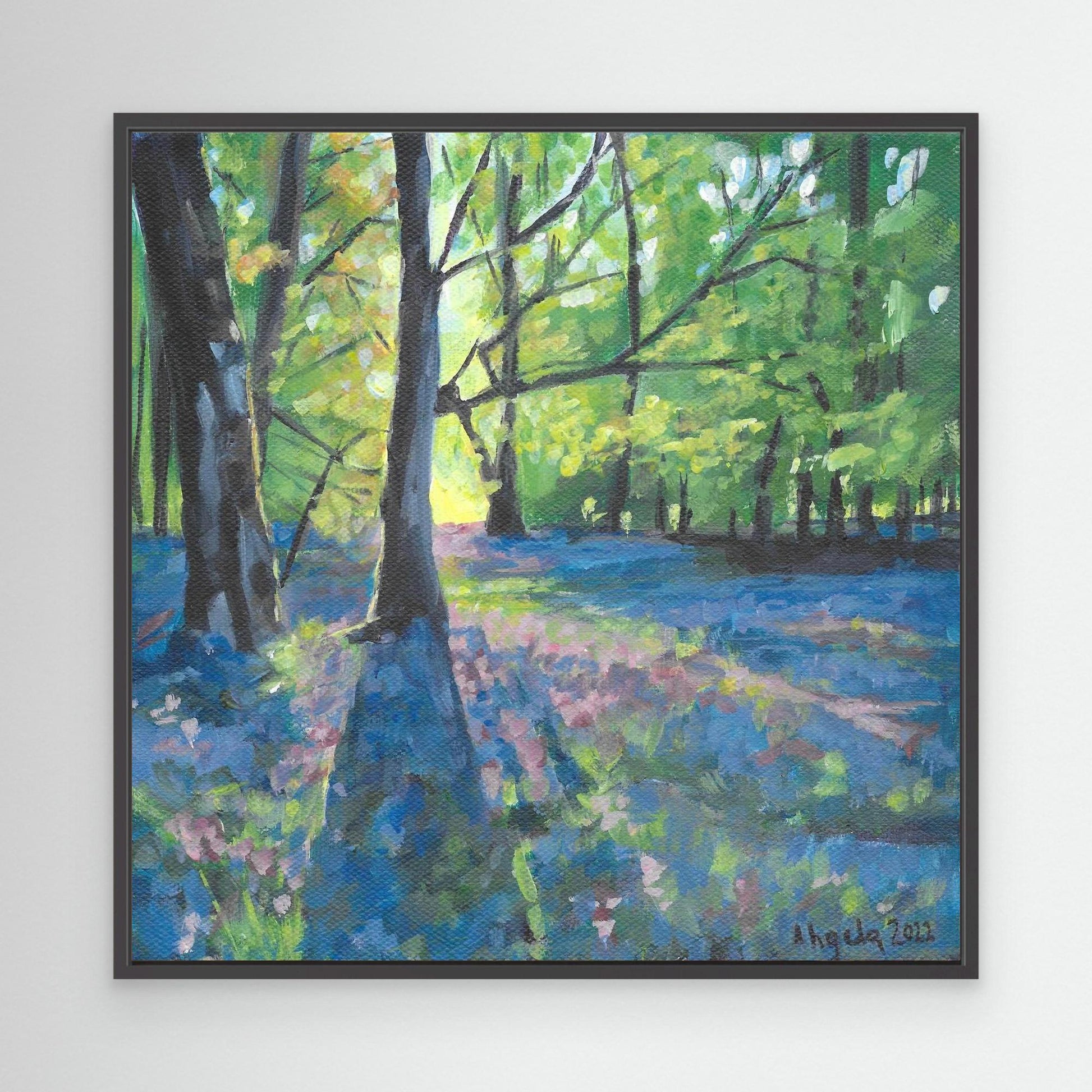 Bluebells at dawn