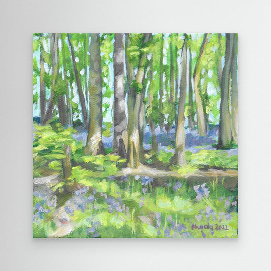 Bluebell woods at Hints