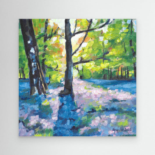 Bluebell walk