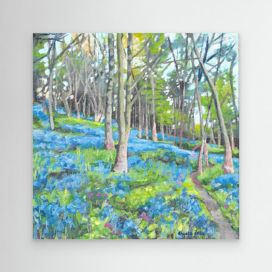 Bluebell Light