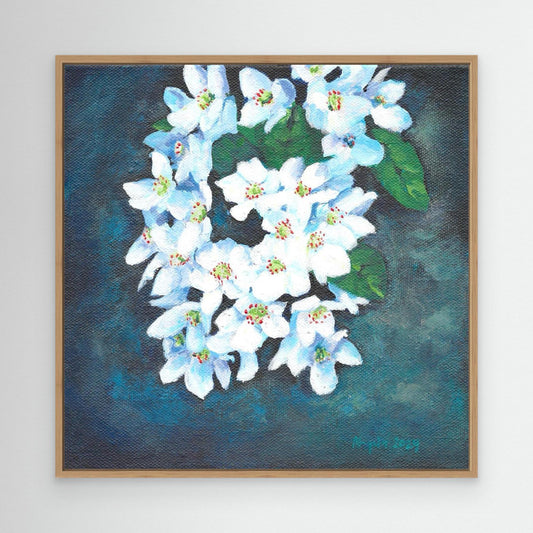 Blackthorn