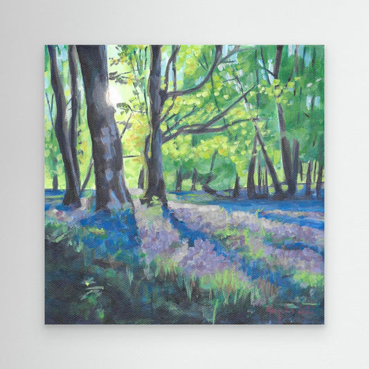 Bluebells at dawn 2