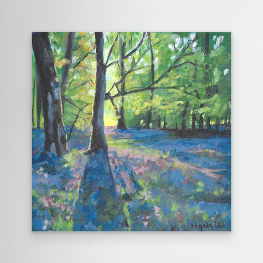 Bluebells at dawn