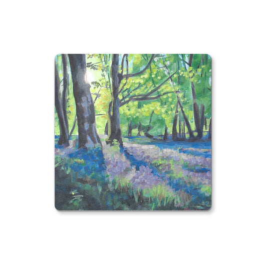 Bluebells at dawn 2 Coaster