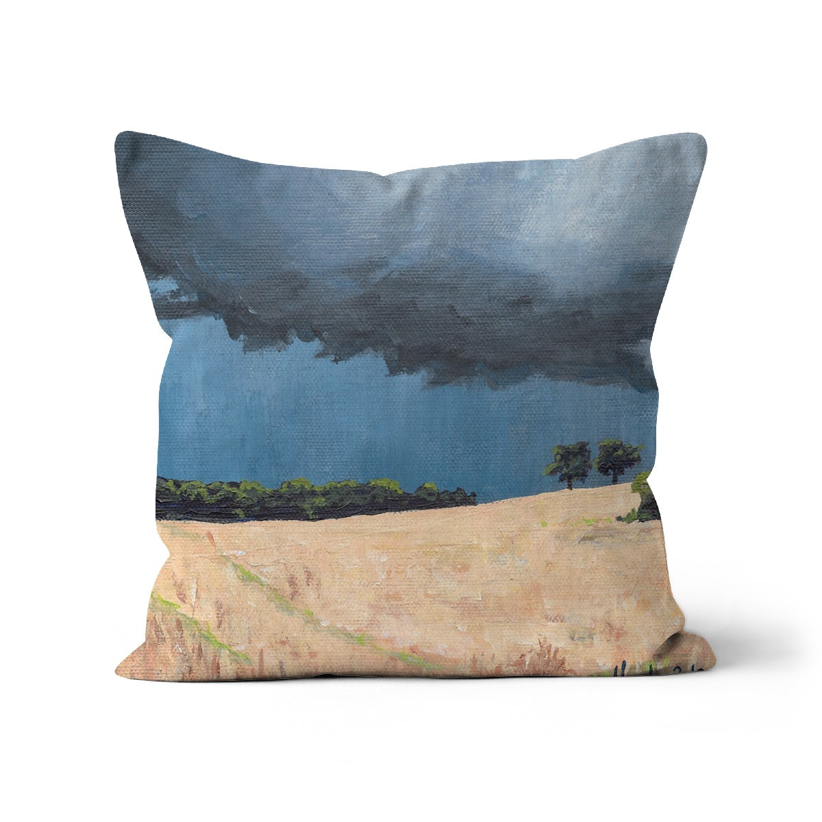 Storm over Wall Cushion