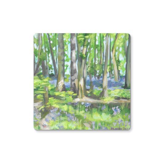 Bluebell woods at Hints Coaster