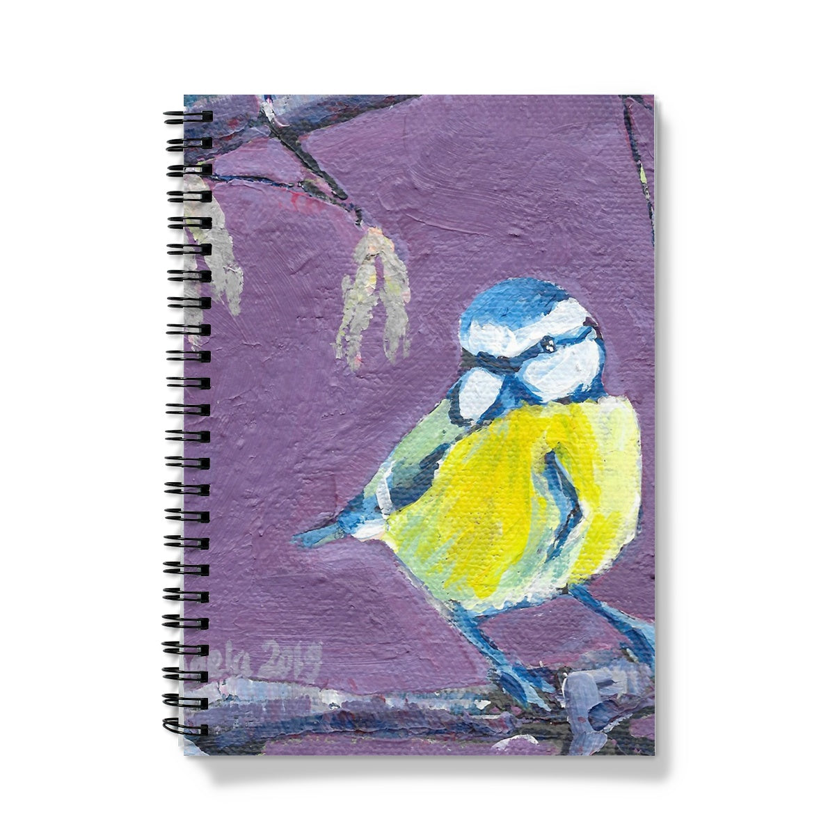What are you looking at? Notebook