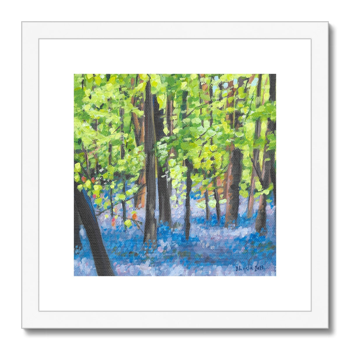 Bluebell wood Framed & Mounted Print 12x12"