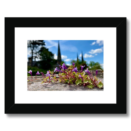 Lichfield Cathedral in Summer Framed & Mounted Print 8x6”