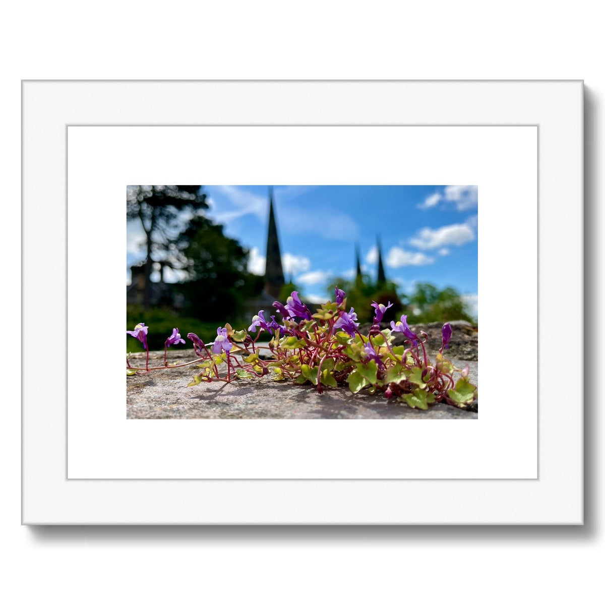 Lichfield Cathedral in Summer Framed & Mounted Print 8x6”